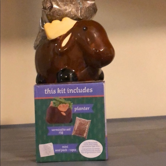 Animal Planter Grow Kit. Maggie. New. - Picture 3 of 4